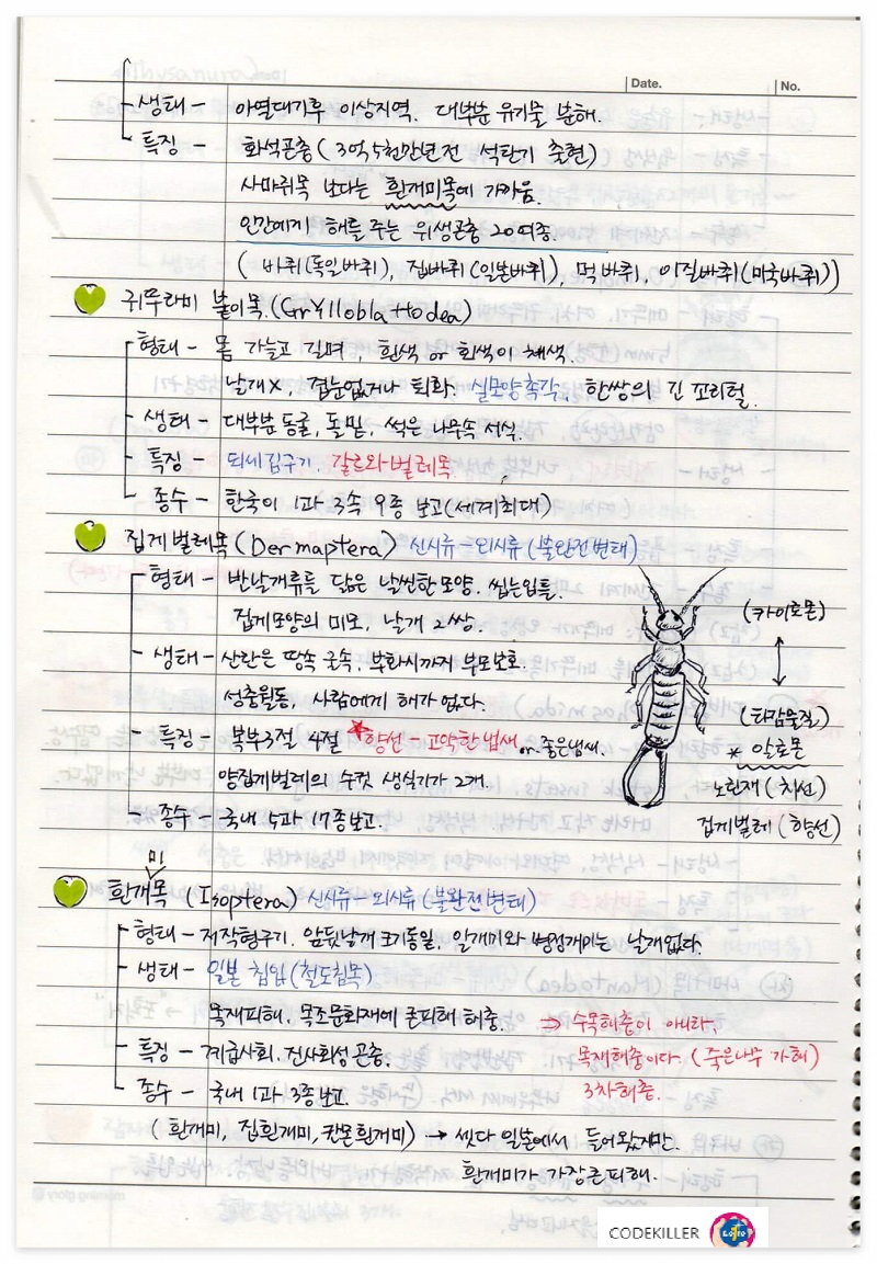 귀뚜라미붙이목&#44;집게벌레목&#44;흰개미목