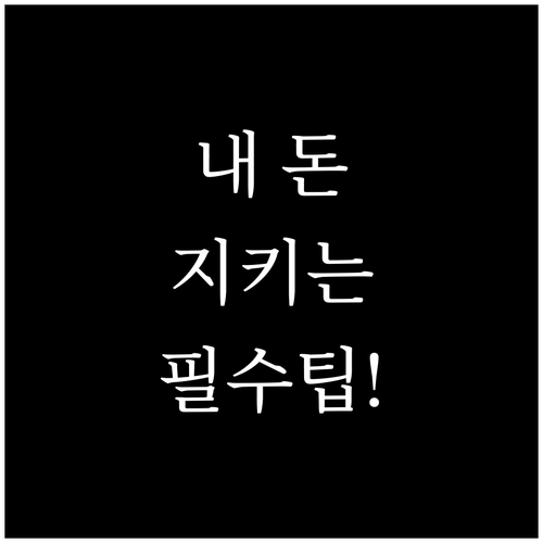 압류방지 전용계좌 1인 1계좌 원칙과..