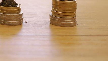 새싹이 자라는 이미지