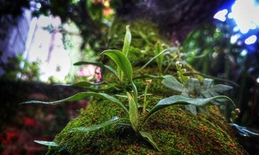 콧물 보면 코병 알 수 있다 쉽게 알 수 없는 A to Z 알아보기