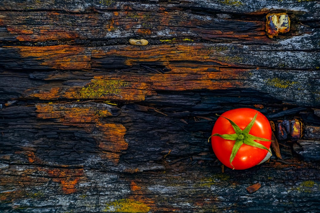 Foods