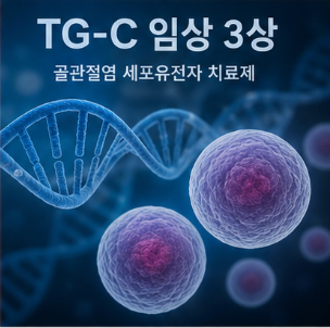 전문가들은 어떻게 분석
