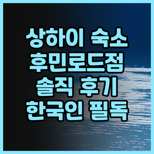 상하이 여행객 필독 비엔나 인터내셔널..
