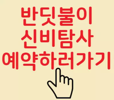 반딧불이 신비탐사