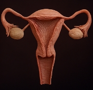 폐경기 전조증상