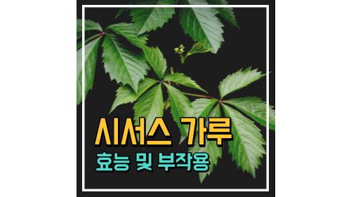 썸네일이미지