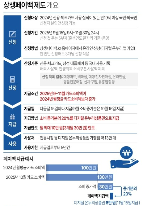 "상생페이백" 최대 30만원 환급, 놓치면 손해!