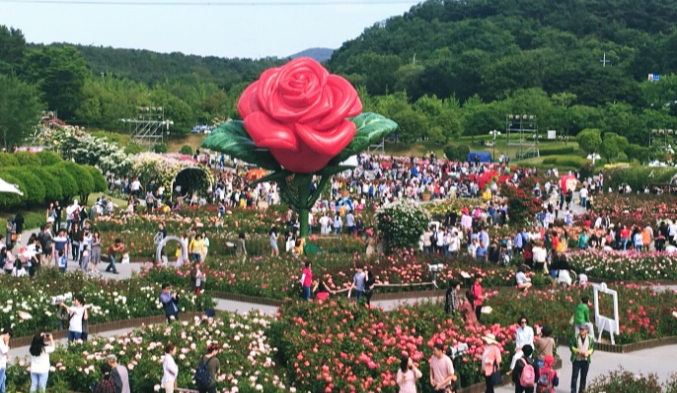 울산대공원 장미축제