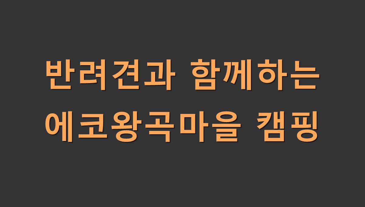 반려견과 함께하는 에코왕곡마을 캠핑