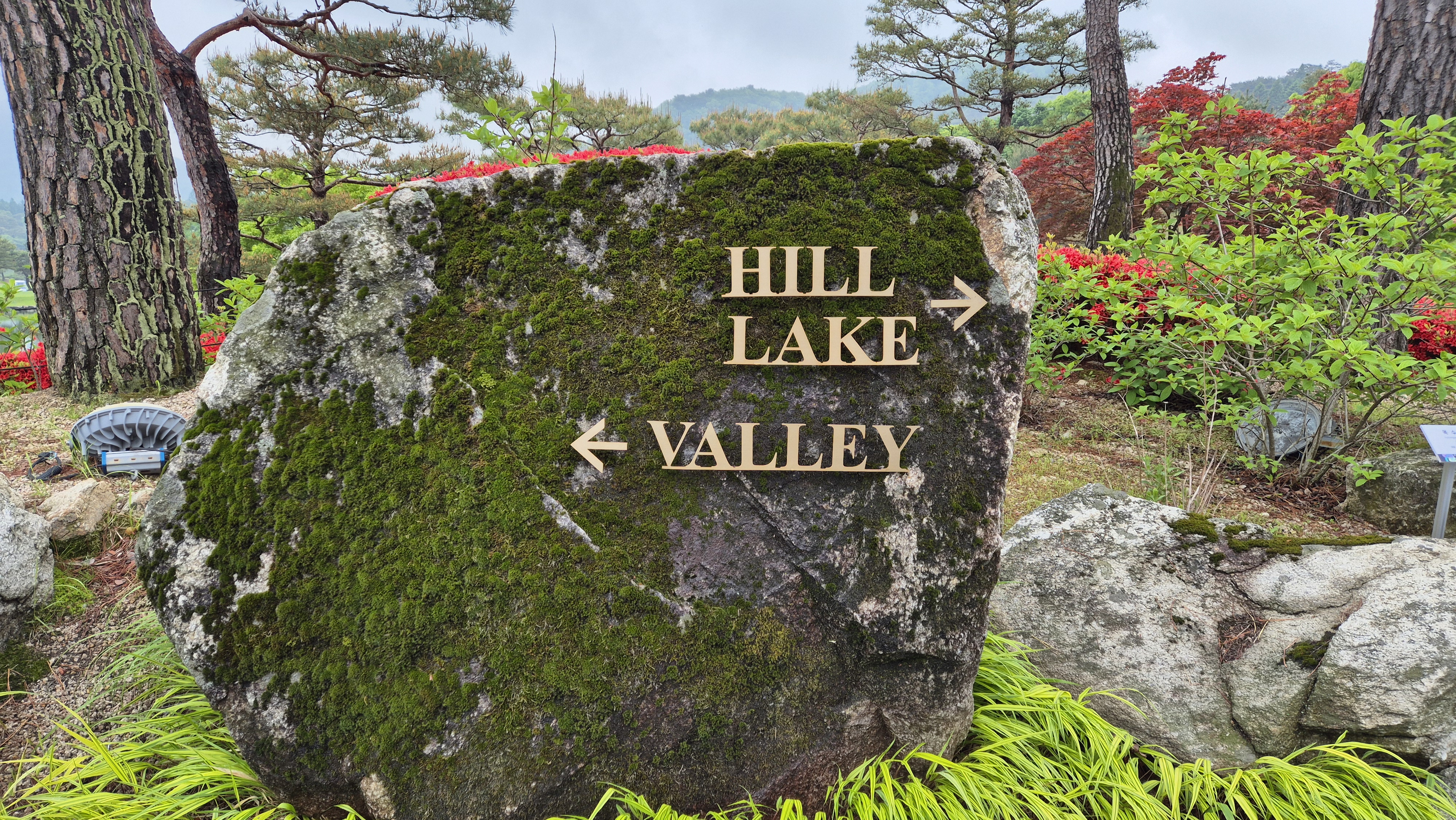 엘리시안 강촌cc 라운드 후기