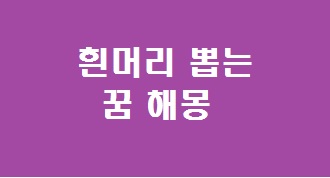 흰머리 뽑는 꿈