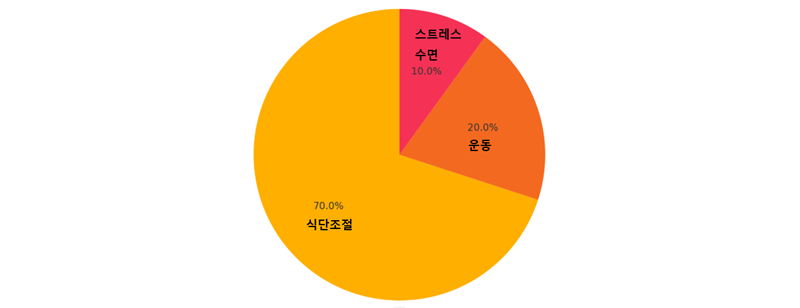 다이어트 구성요소