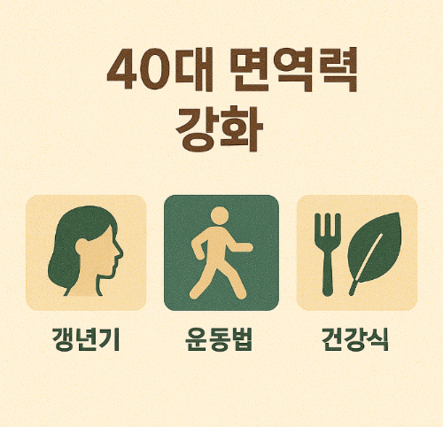 40대 면역력 강화 (갱년기, 운동법, 건강식)