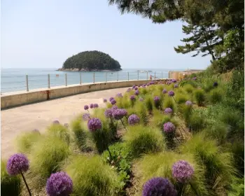 천리포수목원 목련 축제_19