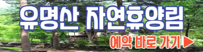 유명산 자연휴양림 예약하기