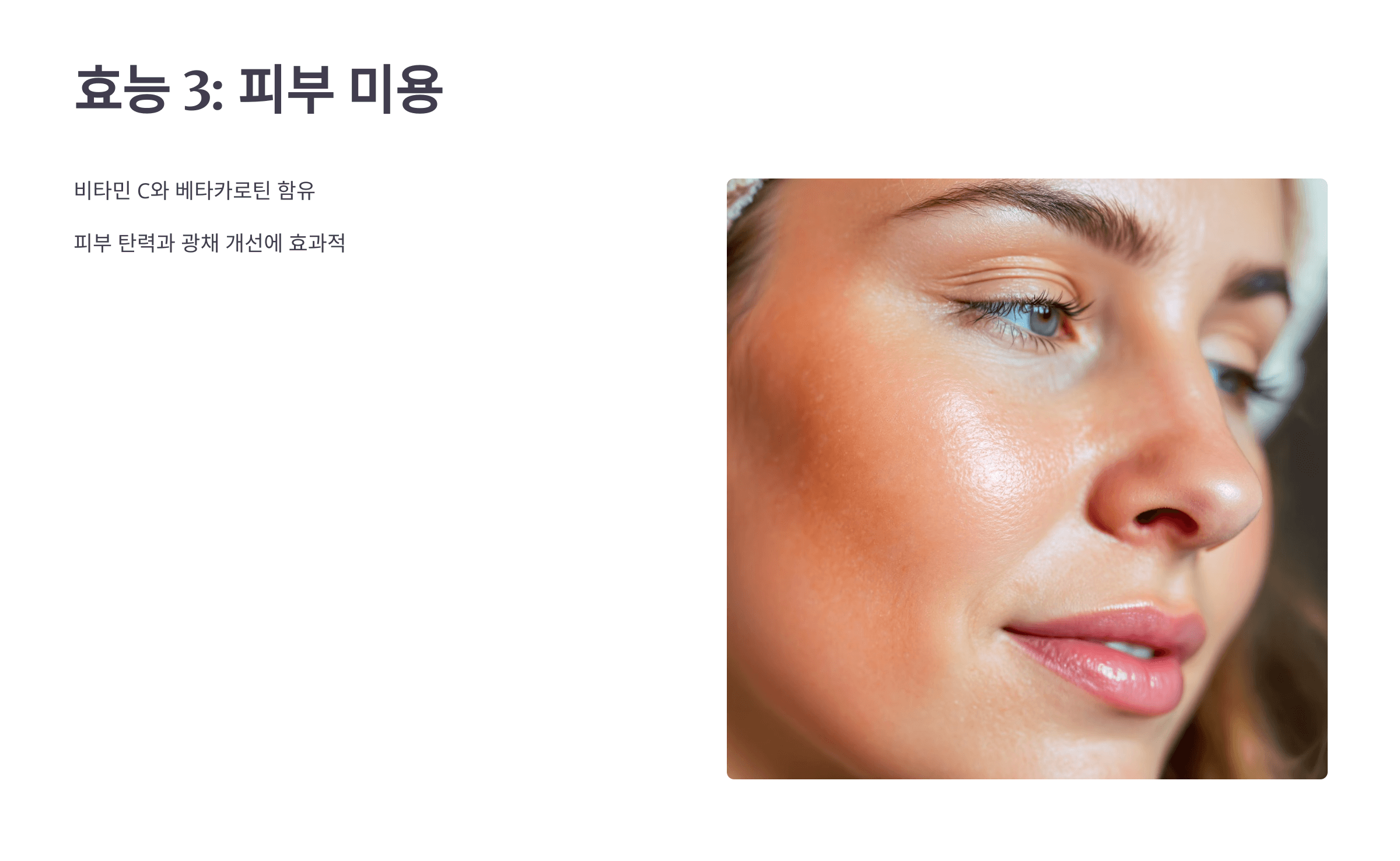 파프리카 사진입니다.