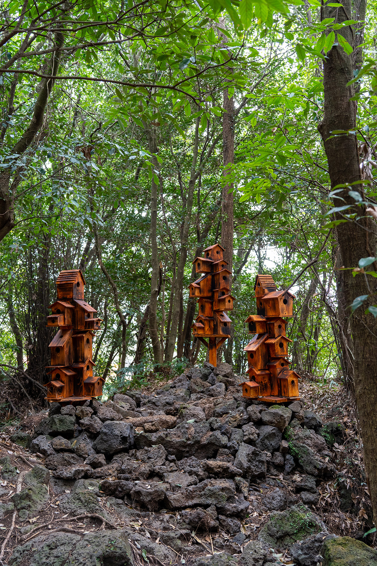 산양큰엉곶(산양곶자왈) 달구지길