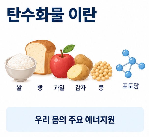 쌀 빵 과일 감자 콩과 포도당 아이콘을 배경으로 탄수화물 이란이라는 글자가 중앙에 놓인 영양학 인포그래픽