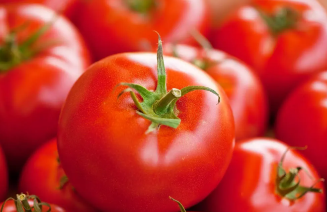 잘익은 빨간 방울 토마토