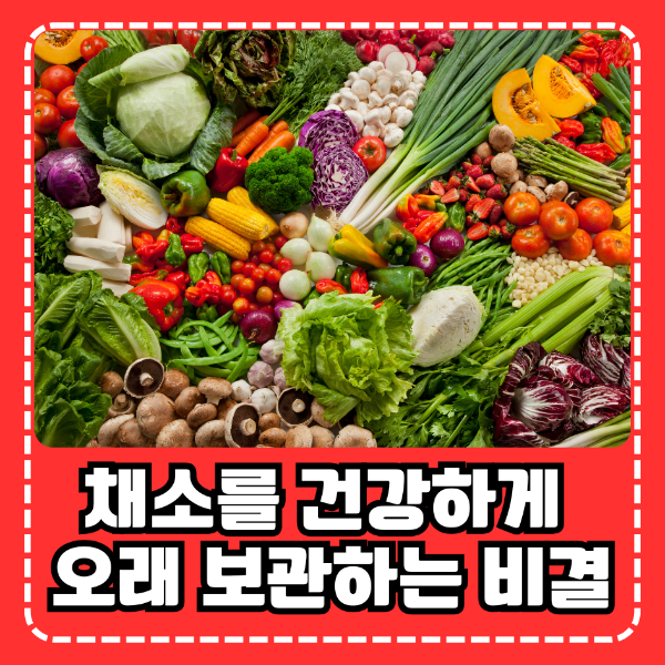 채소 오래 보관법