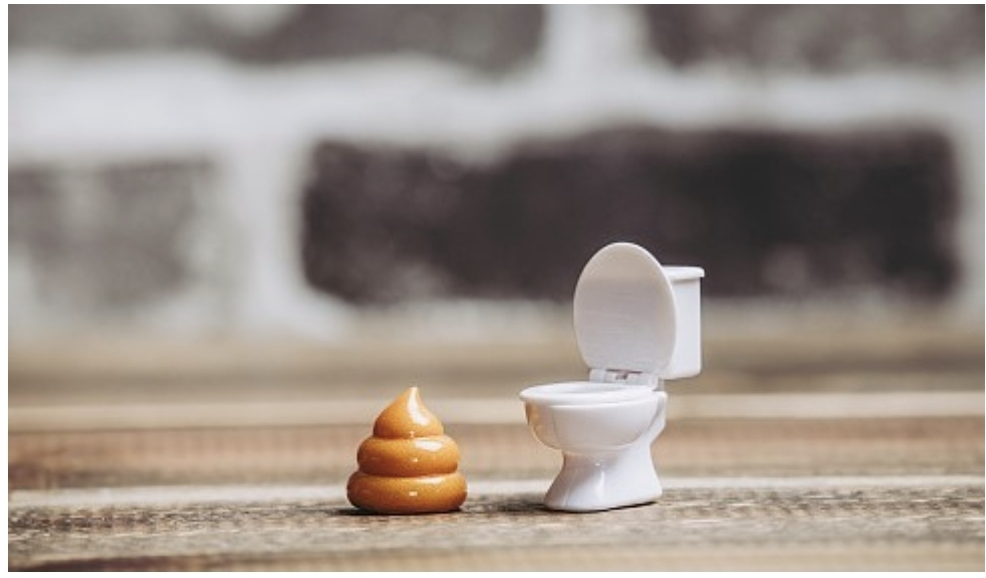 똥과 변기가 있다