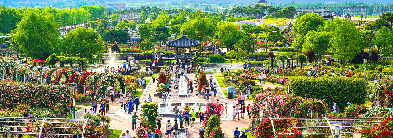 곡성세계장미축제