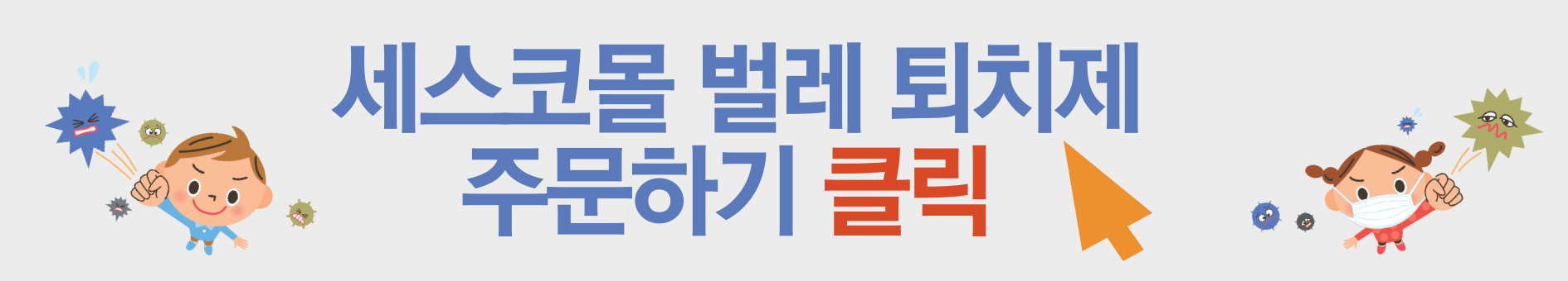 세스코 가정집 가격, 비용, 방역비용, 세스코 진드기 케어 서비스 완벽 가이드