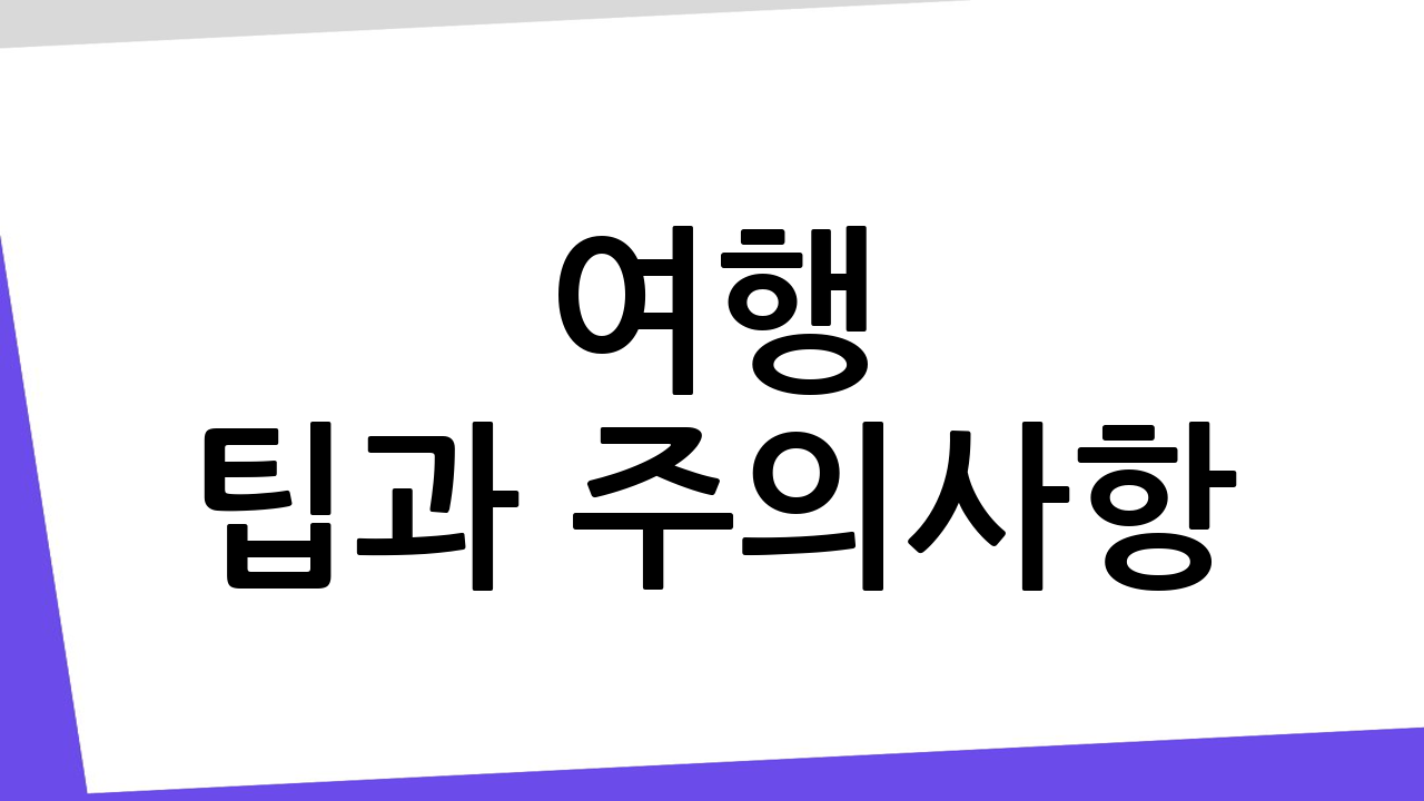 여행 팁과 주의사항
