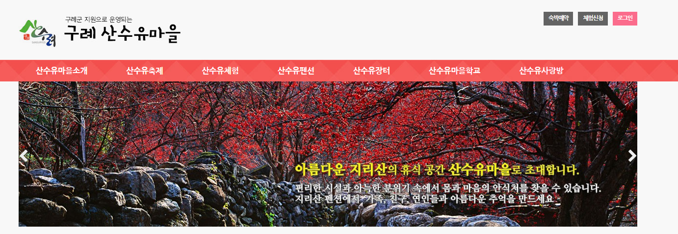 2025 전국 꽃 축제 일정 &ndash; 매화, 산수유, 벚꽃, 유채꽃, 철쭉, 장미까지!