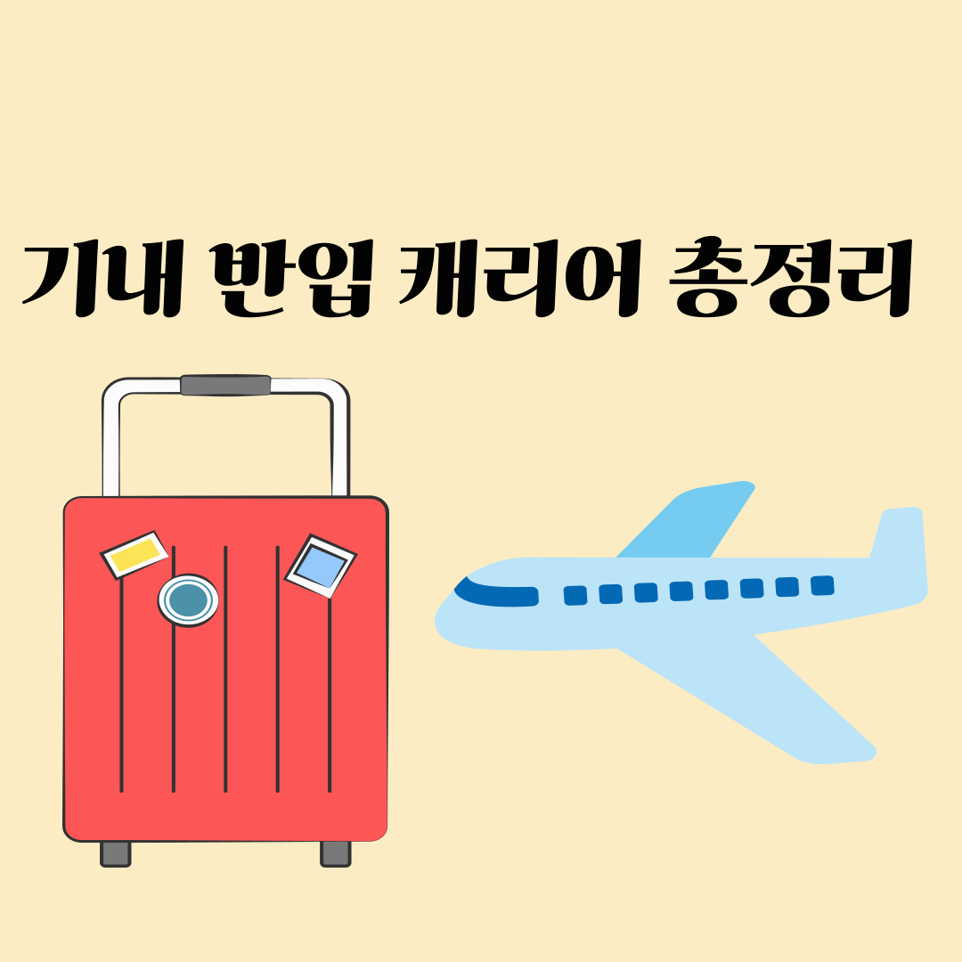 여행가방 캐리어, 사이즈별 기내 반입 가능 여부 총정리