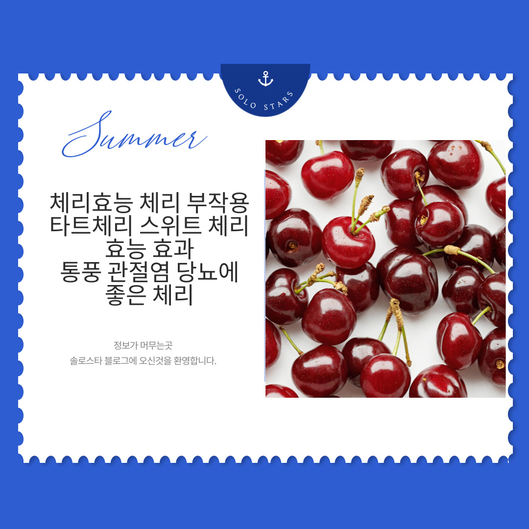 체리사진