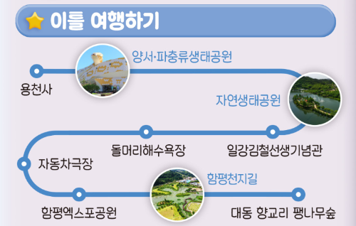 함평 나비대축제