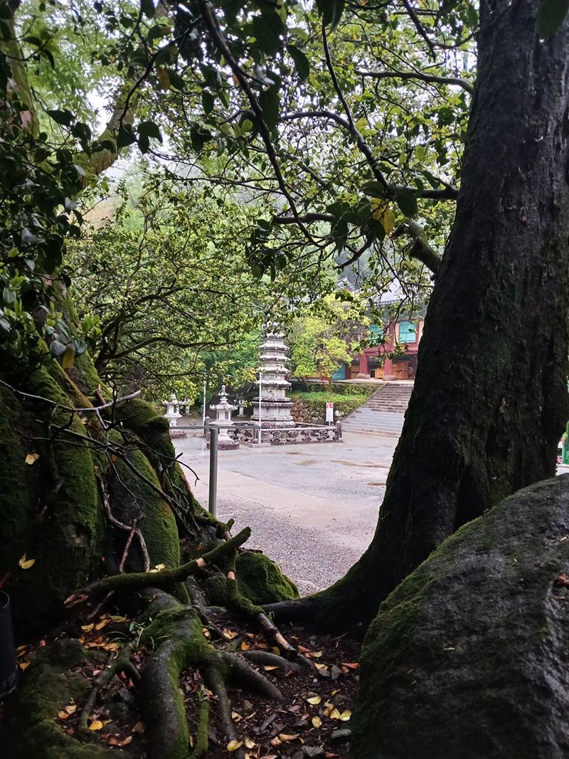 경남 쌍계사 템플스테이 신청 방법