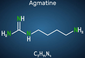 아르기닌 부작용&amp;#44; 아르기닌의 효능&amp;#44; 복용법 총정리 (2025ver)