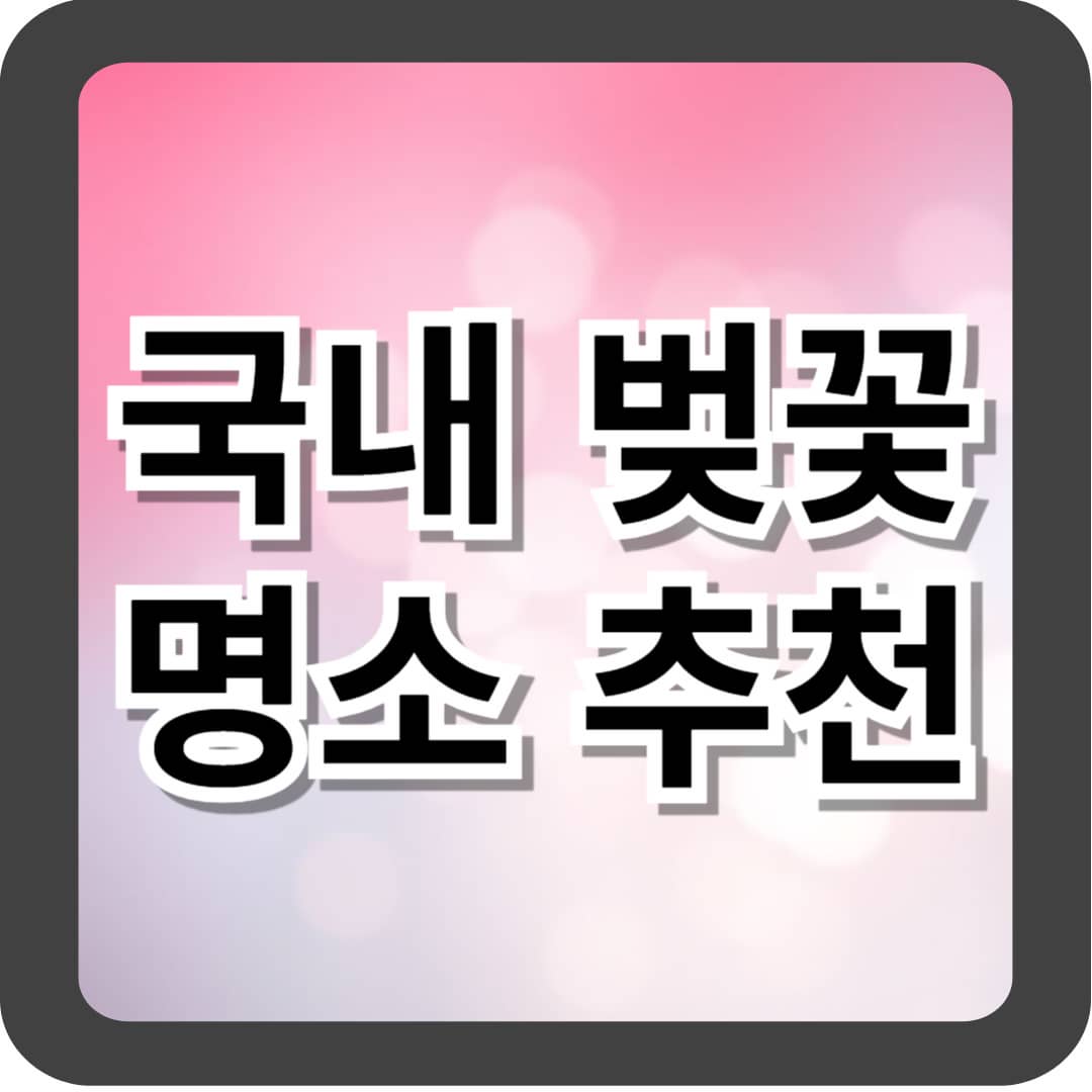 국내 벚꽃 명소 추천
