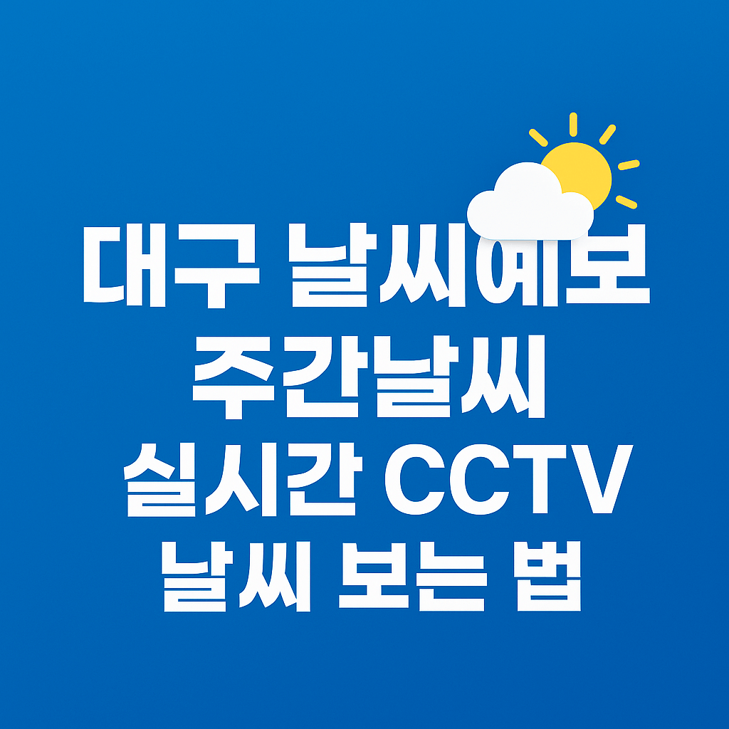 대구 날씨예보 주간날씨 실시간 CCTV 날씨 보는 법