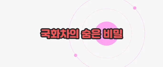 국화차 효능 천천히 들여다보죠