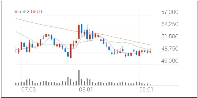 폭락 '카카오' 주가 오를까...부실 경영으로 회복 불투명