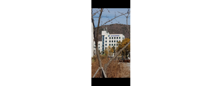 창원 의창구 요양병원