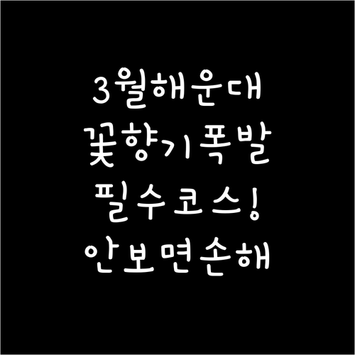 봄꽃 향기 가득한 3월 해운대 가볼만..