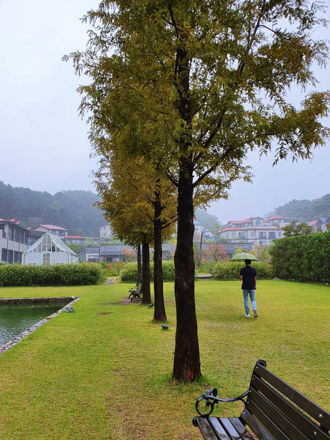 에덴힐폰드 옆 나무