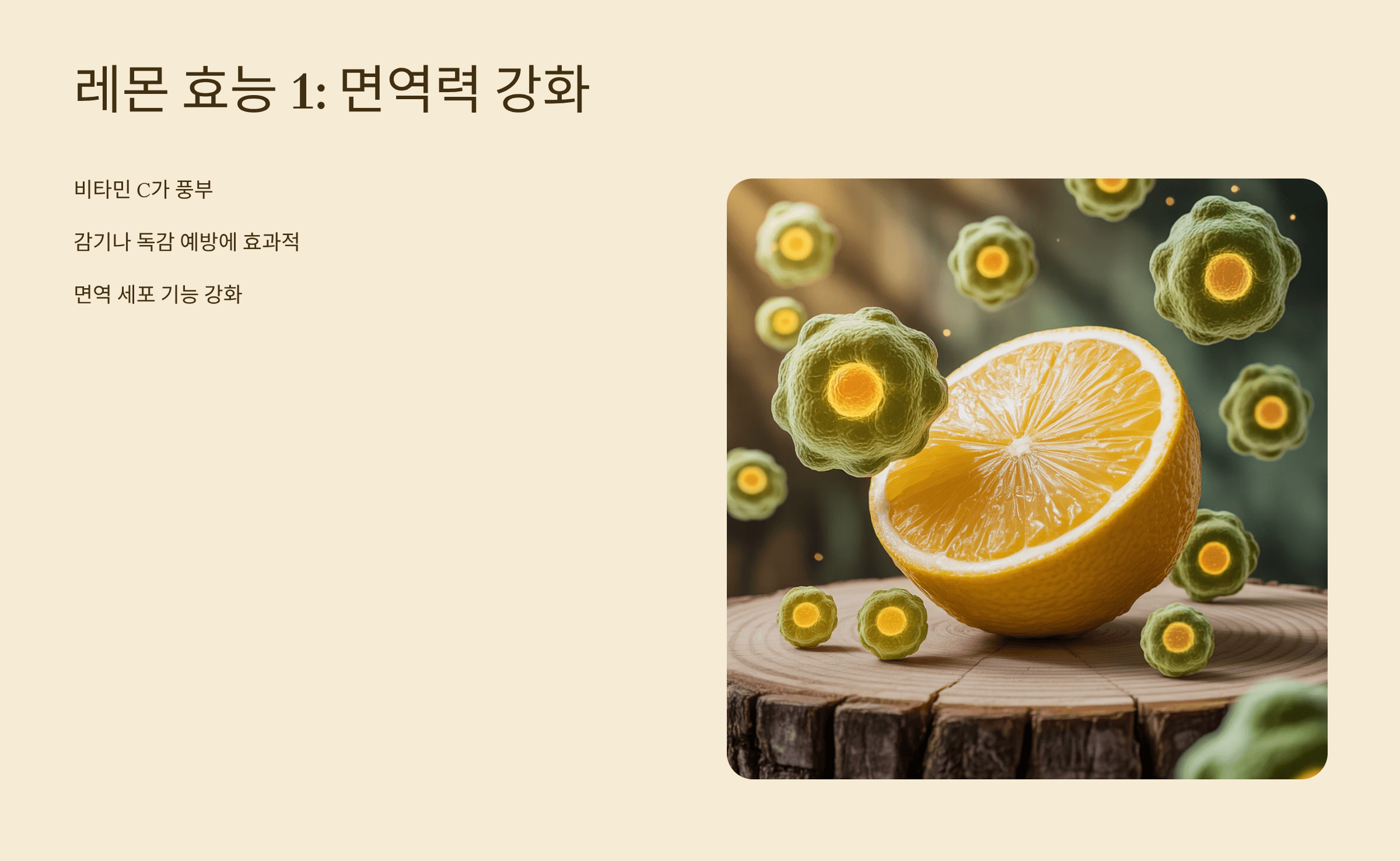 레몬 사진입니다.