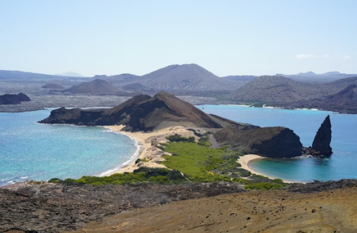 지구가 진화를 실험한 섬 갈라파고스 제도