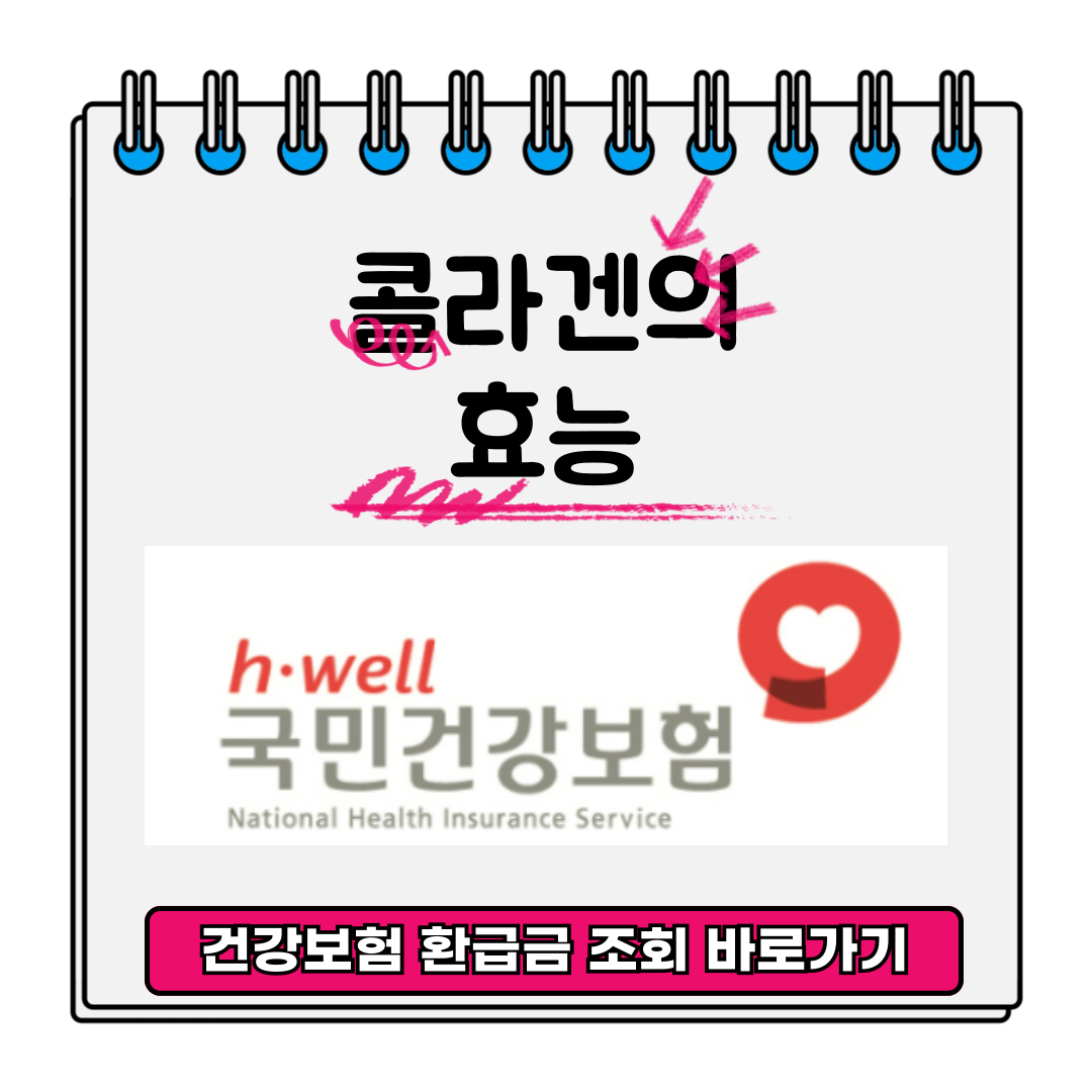 콜라겐의 효능