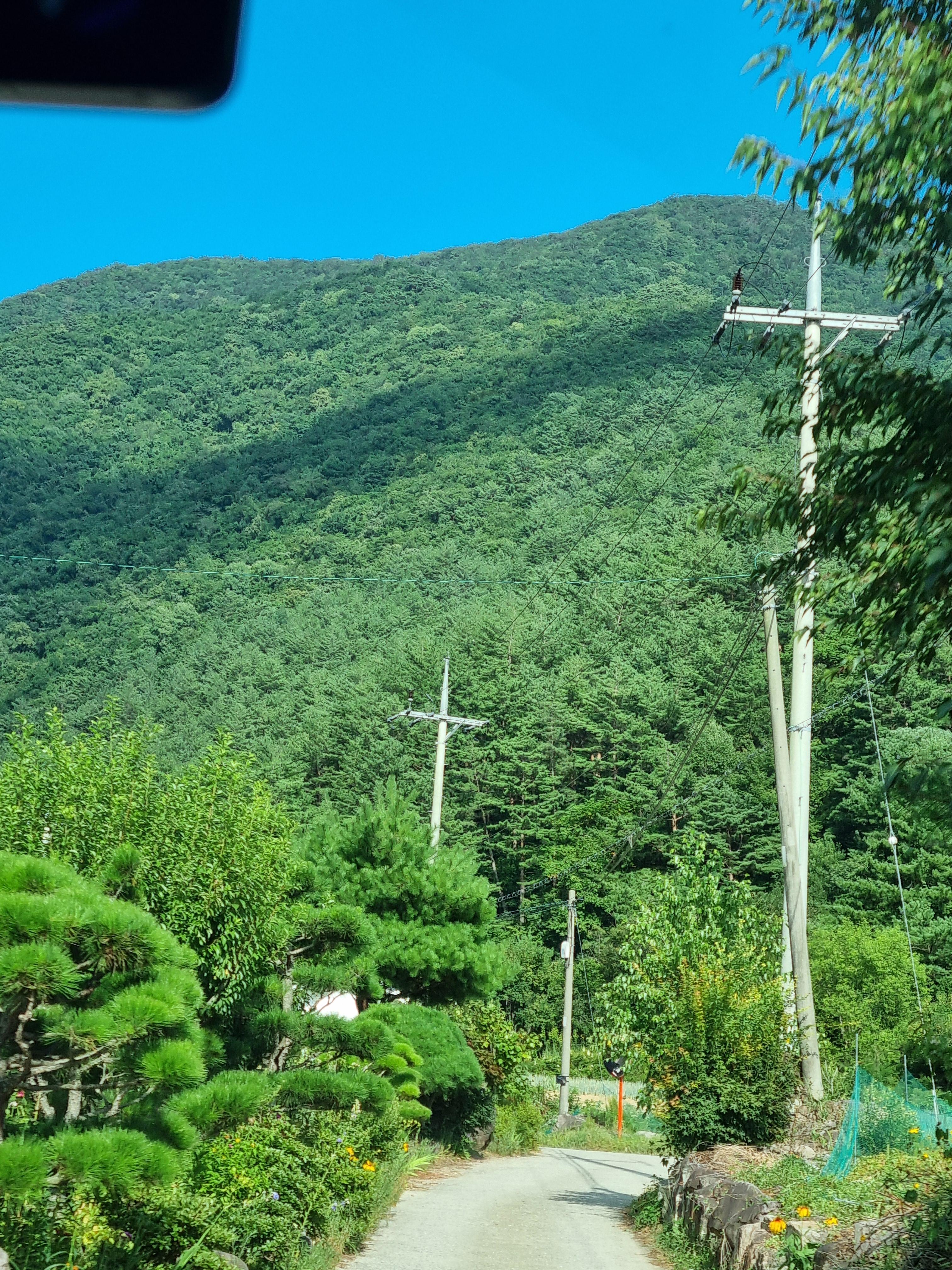두타산자연휴양림 진입도로