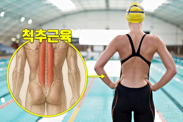 좌골신경통 예방 운동 수명