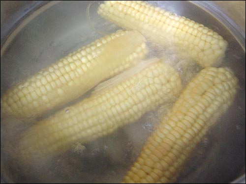 옥수수 맛있게 삶기