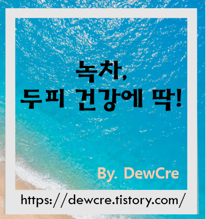지친 두피에 자연의 힘을! 녹차로 관리하는 건강한 두피 비결