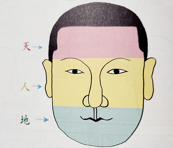 얼굴 관상 삼등분하여, 하늘 땅, 코가 연결고리