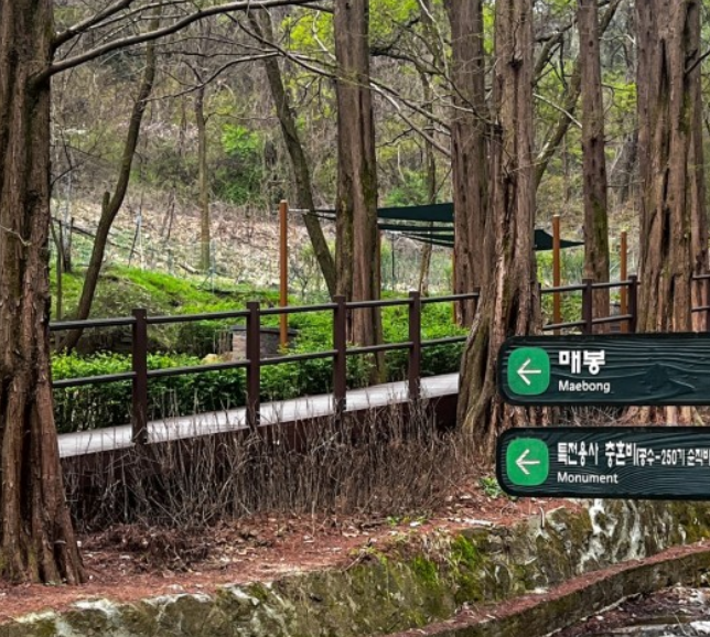 서울근교나들이